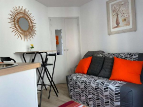 Studio Amélie-les-Bains-Palalda, 1 pièce, 2 personnes - FR-1-659-54, Amélie-Les-Bains-Palalda